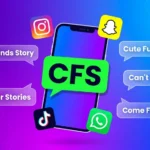 CFS meaning slang