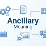 ancillary meaning