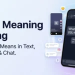 dsl meaning slang
