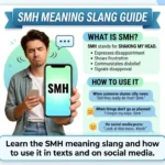 smh meaning slang