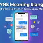 yns meaning slang