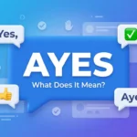 ayes meaning