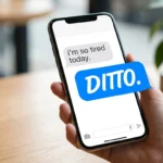 ditto meaning