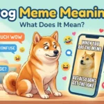 dog meme