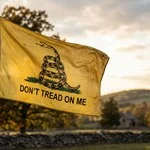 dont tread on me meaning