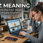 fritz meaning