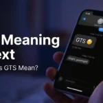 gts meaning in text