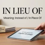 in lieu of meaning