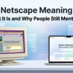 netscape meaning