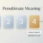 penultimate meaning