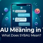 sybau meaning in text