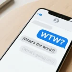 wtw meaning in text